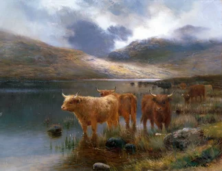 Highland Cattle by a Loch